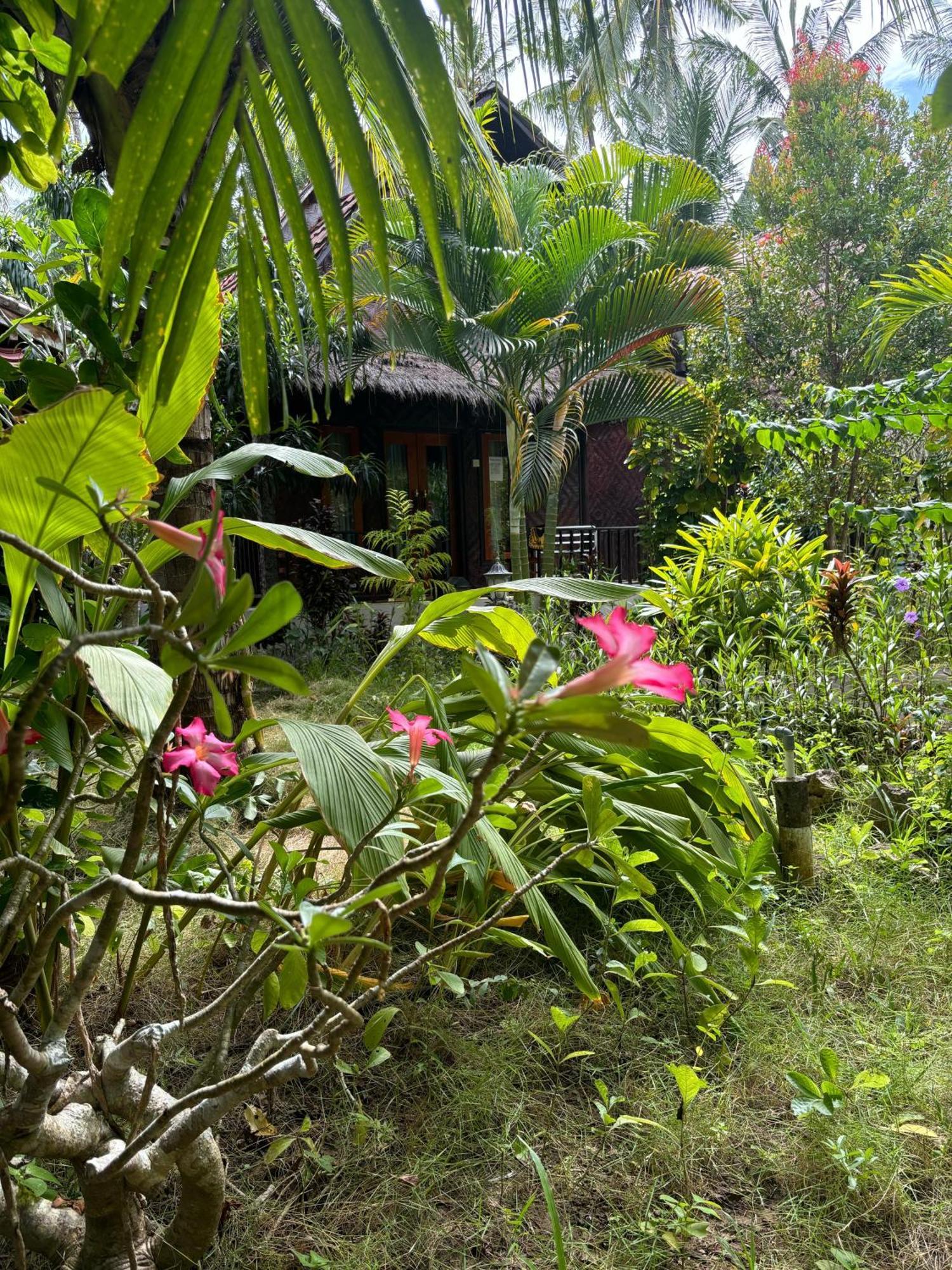 Kubu Artha Bungalow Nusa Penida Ped Luaran gambar
